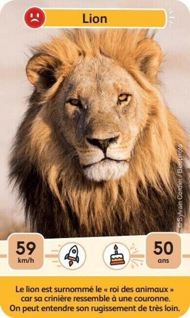 Défis Nature: Junior - Rois de la Savane Carte