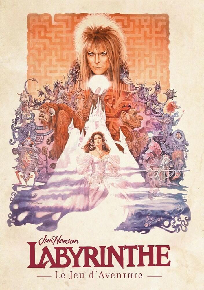 Labyrinthe: Le Jeu d'Aventure Cover