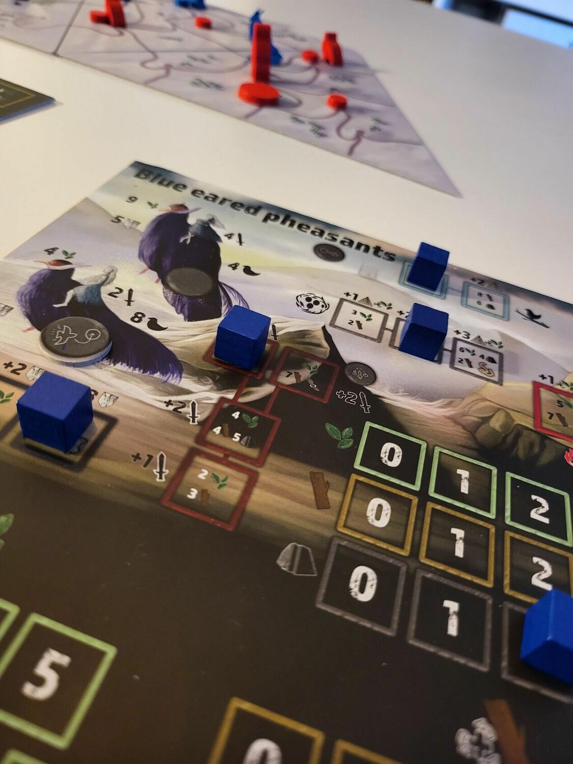 Clash of Galliformes Zoom