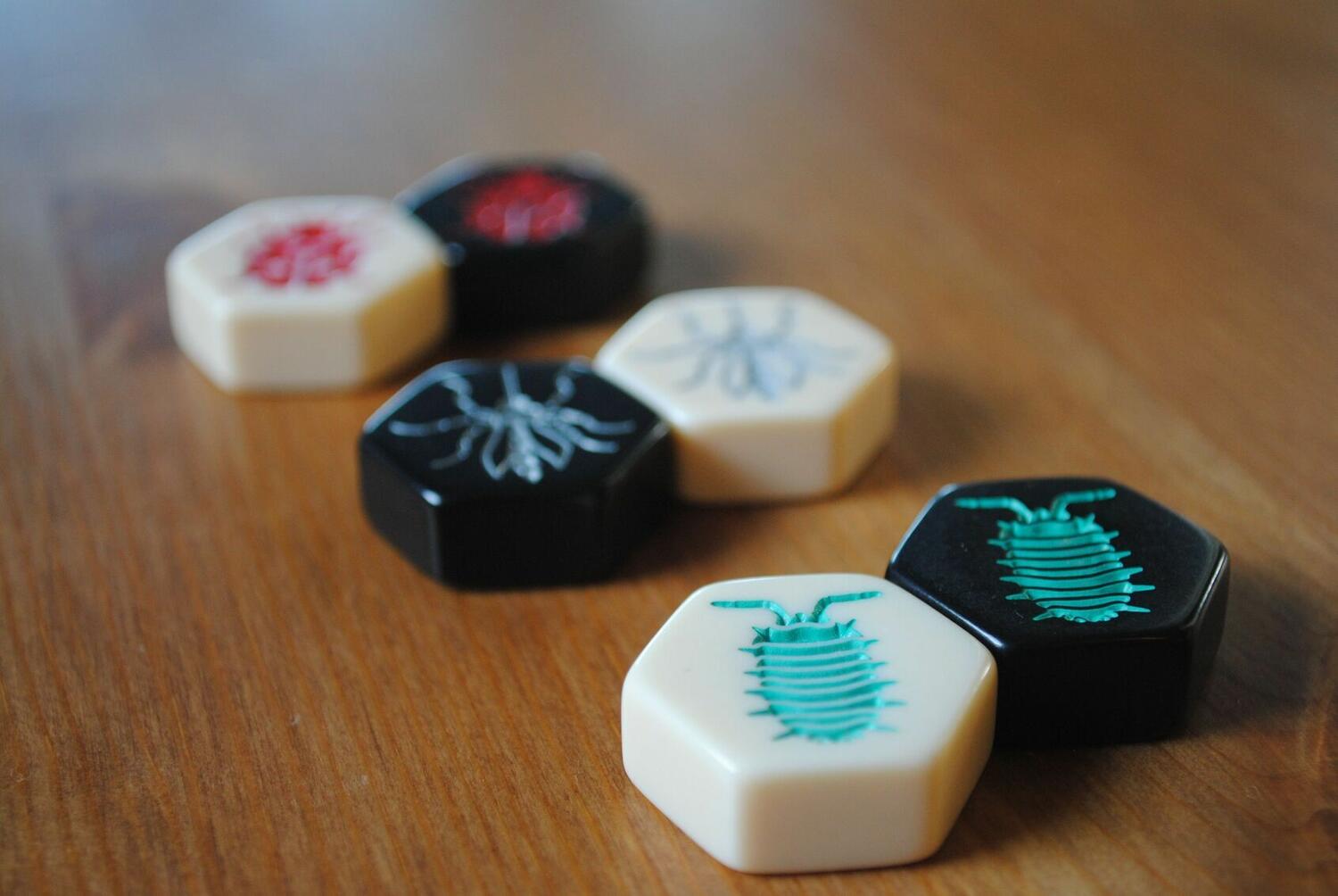 Hive: The Pillbug Zoom