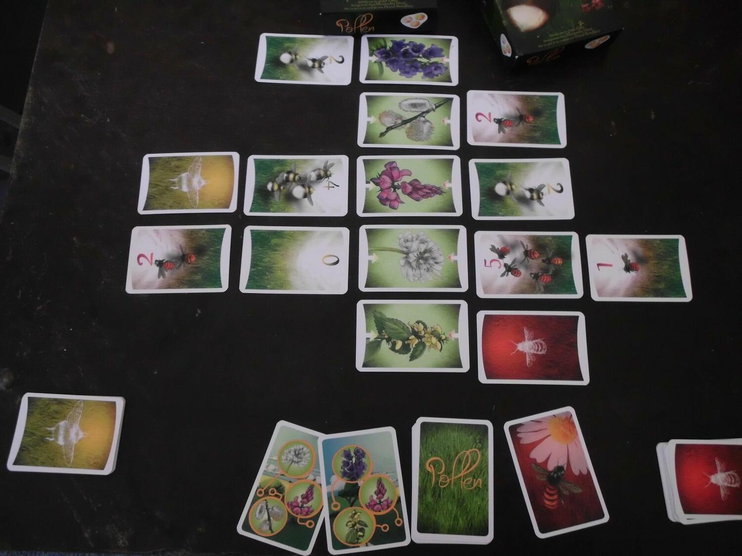 Pollen Cartes