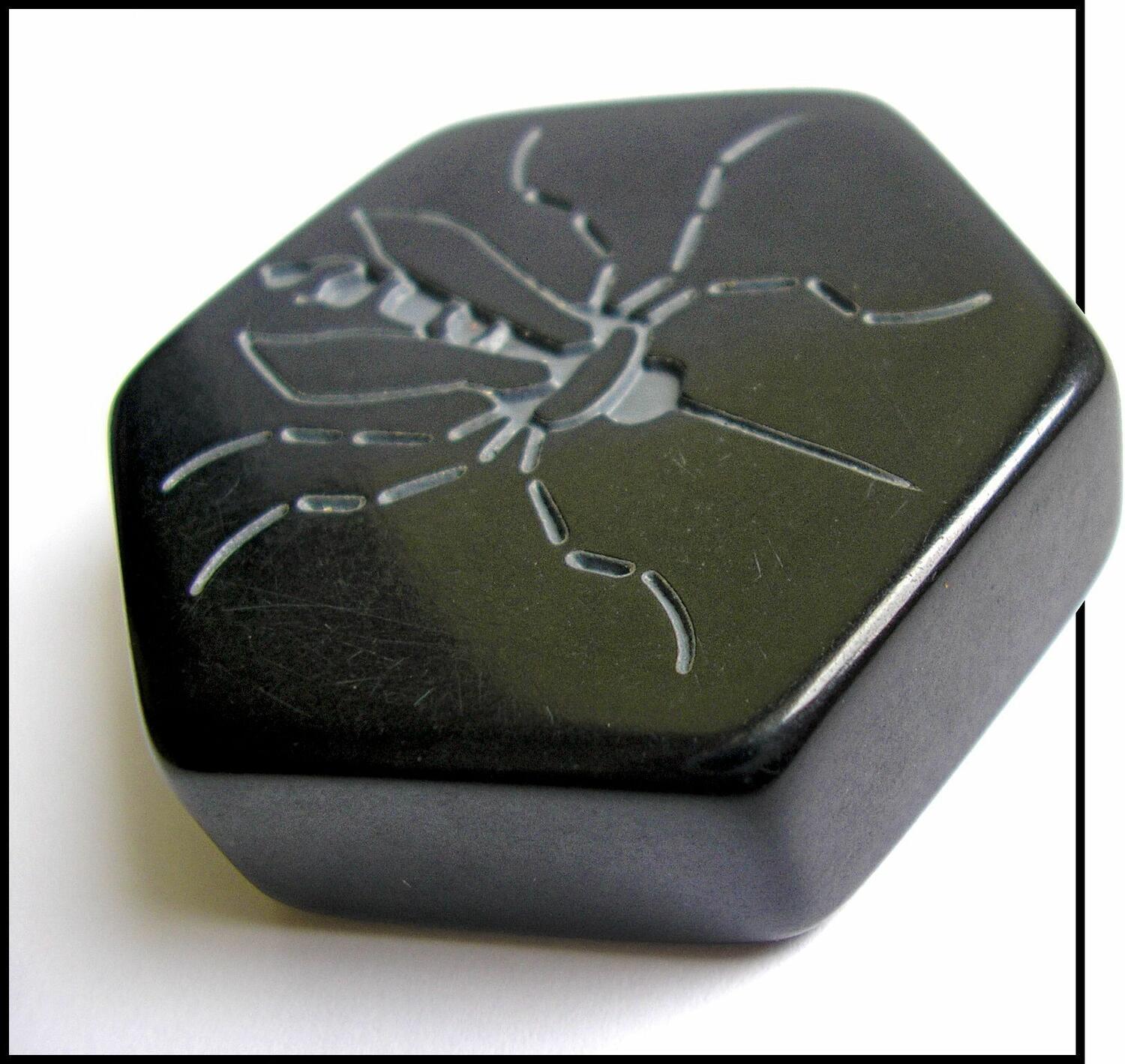 Hive: The Mosquito Zoom