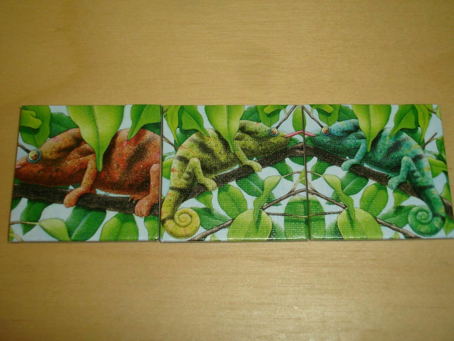 Charly im Zoo Tuiles