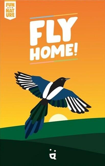 Fly Home ! Cover