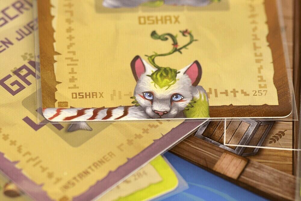 L'Île des Chats: Derniers Arrivants Zoom