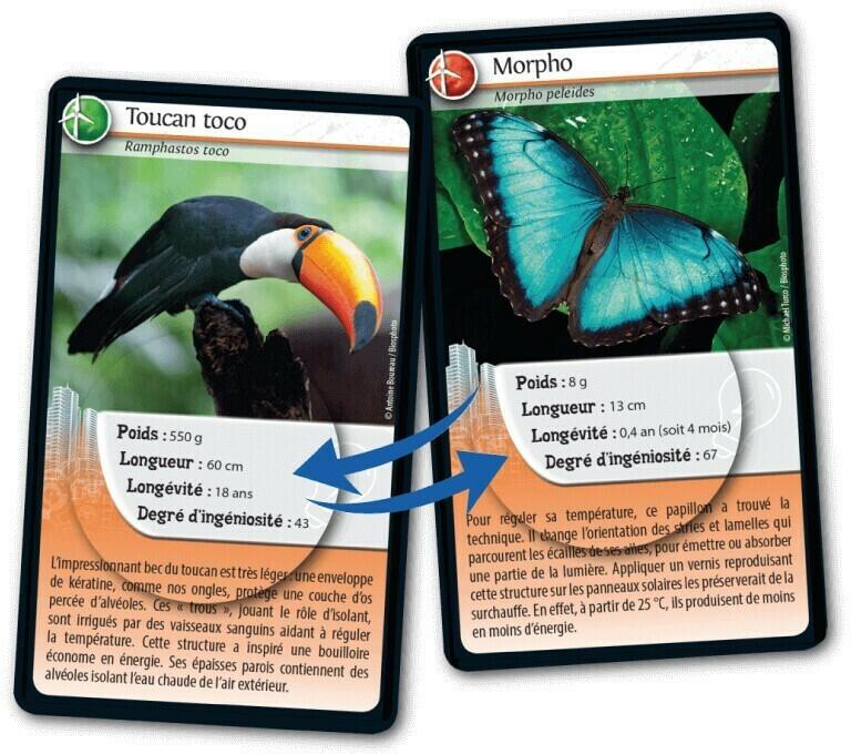 Défis Nature: Animaux Inspirants Cartes