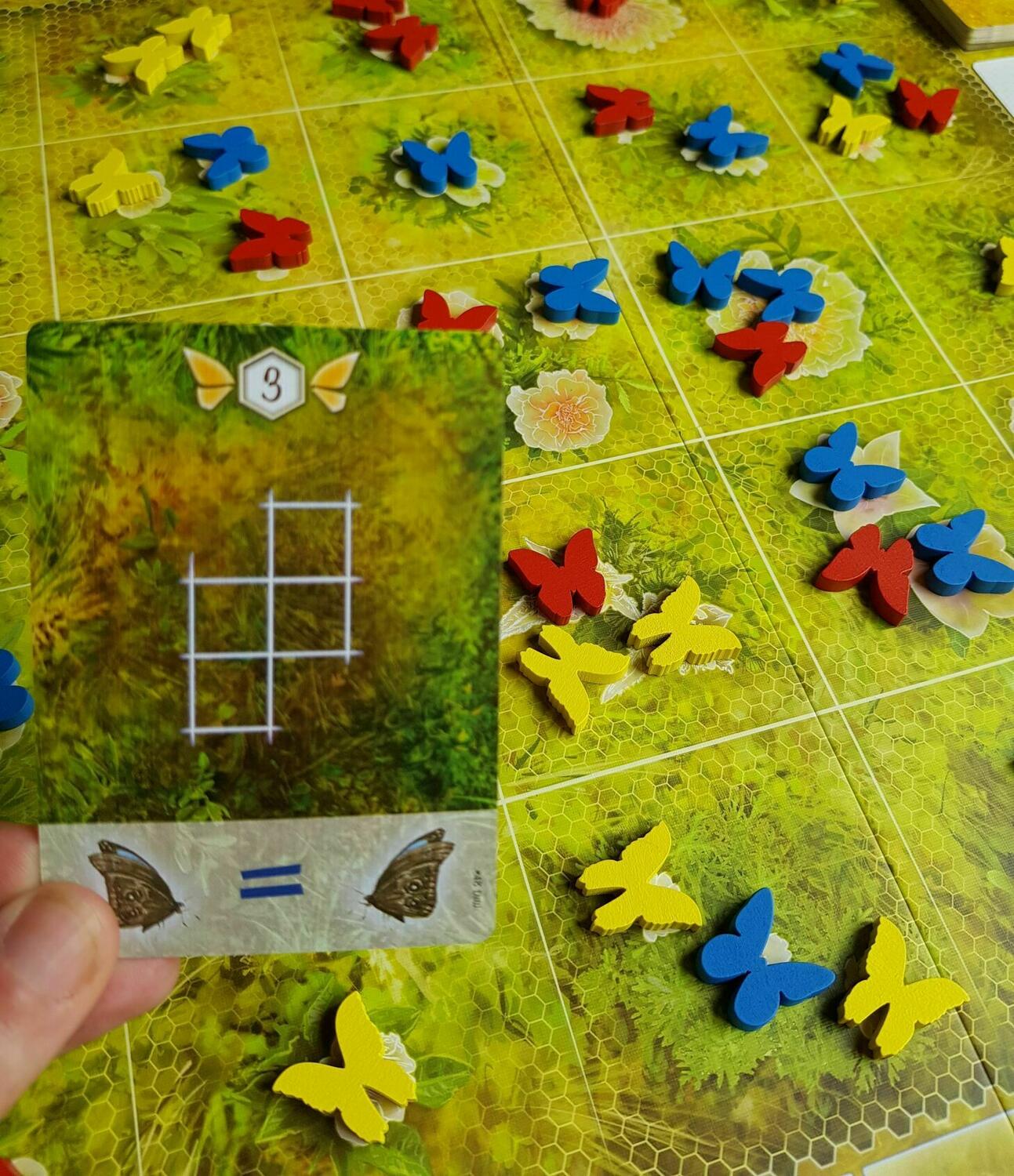 Dust in the Wings Zoom