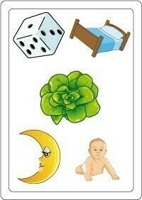 Tam Tam: Safari - CP - Niveau 1 Carte