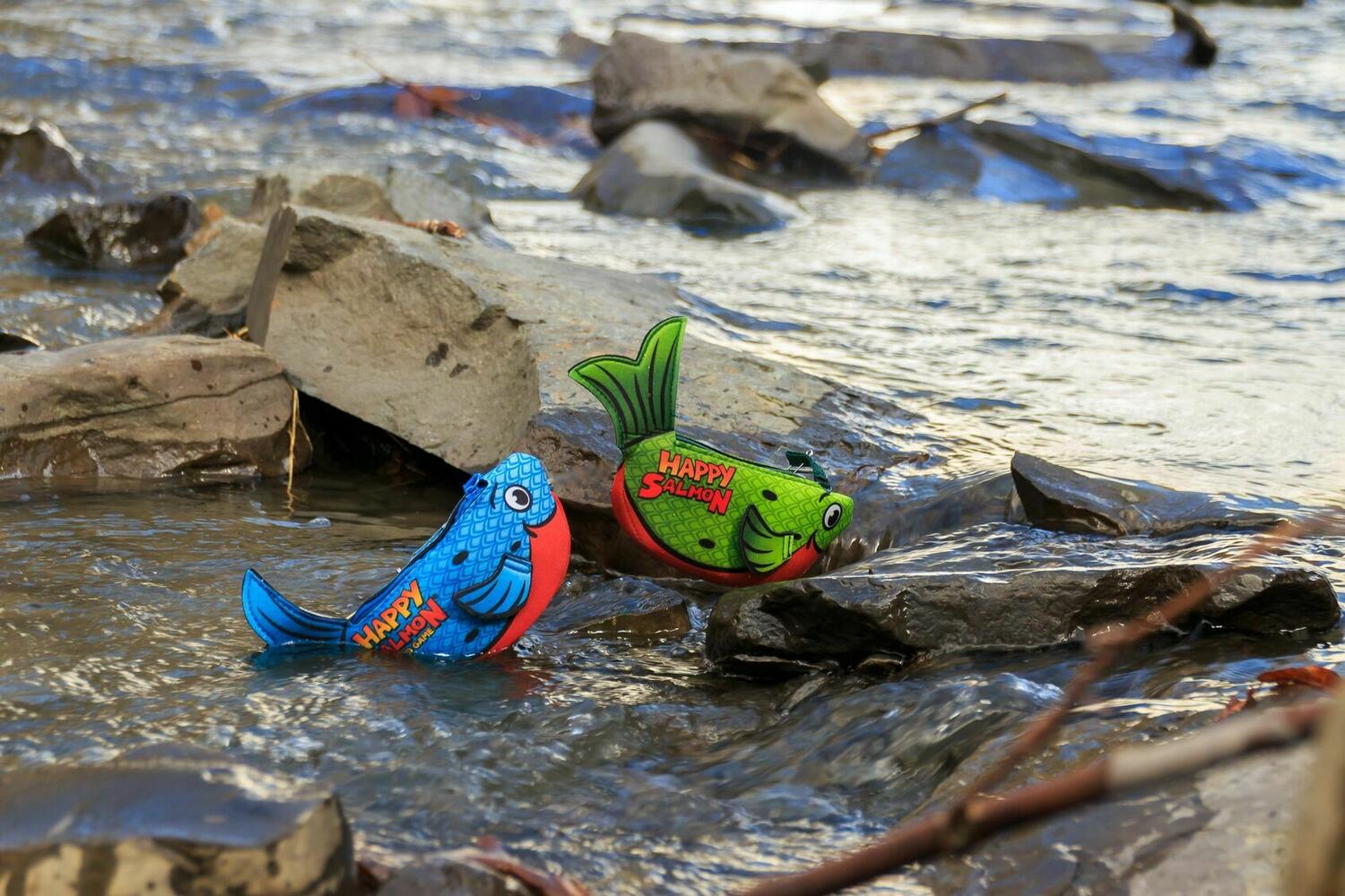 Saumon Fretillant Eclate