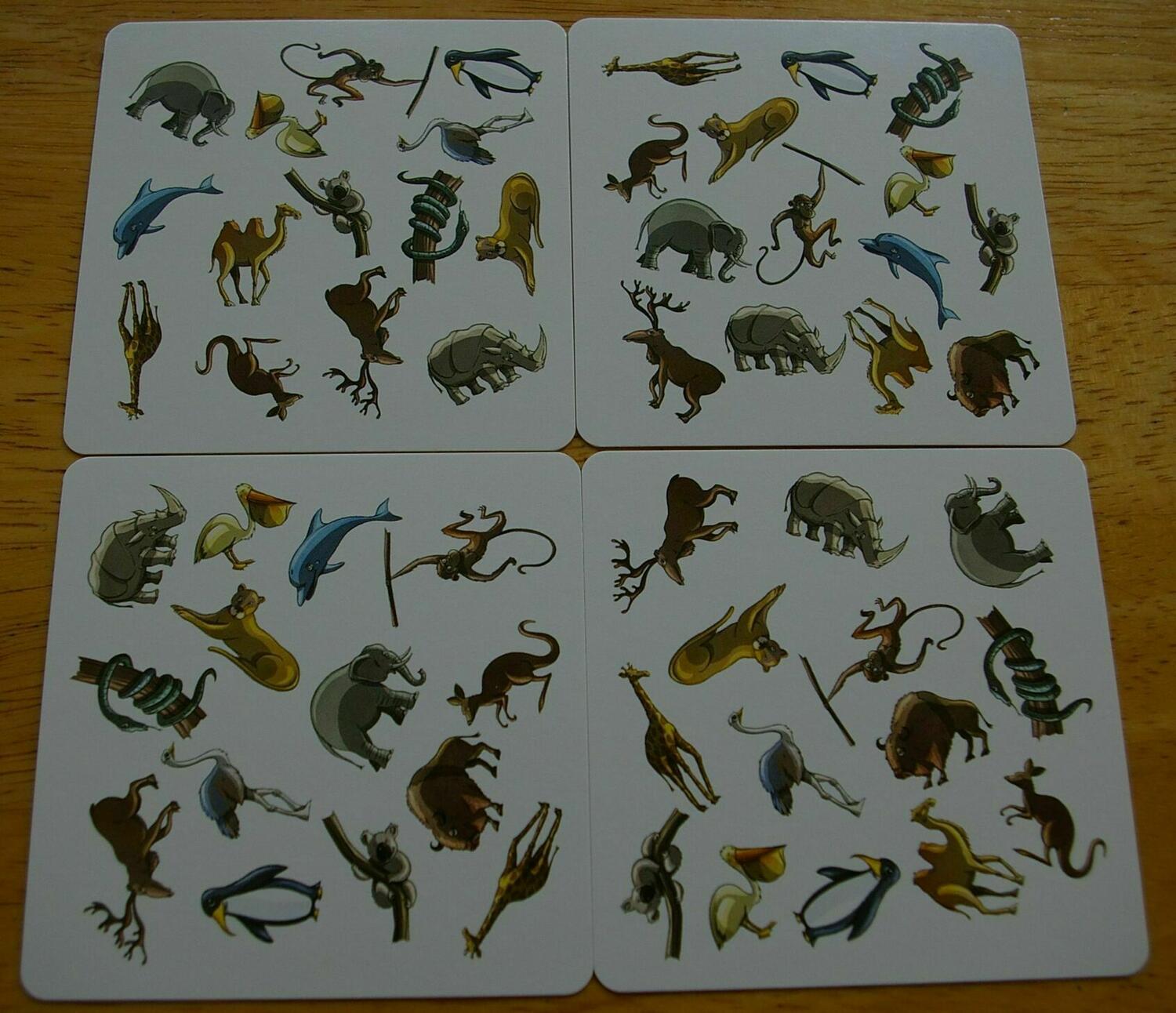 Panicozoo 2006 Cartes