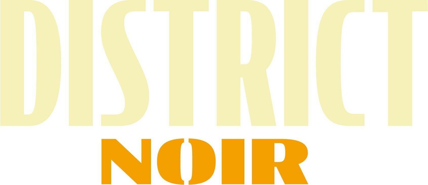 District Noir Logo