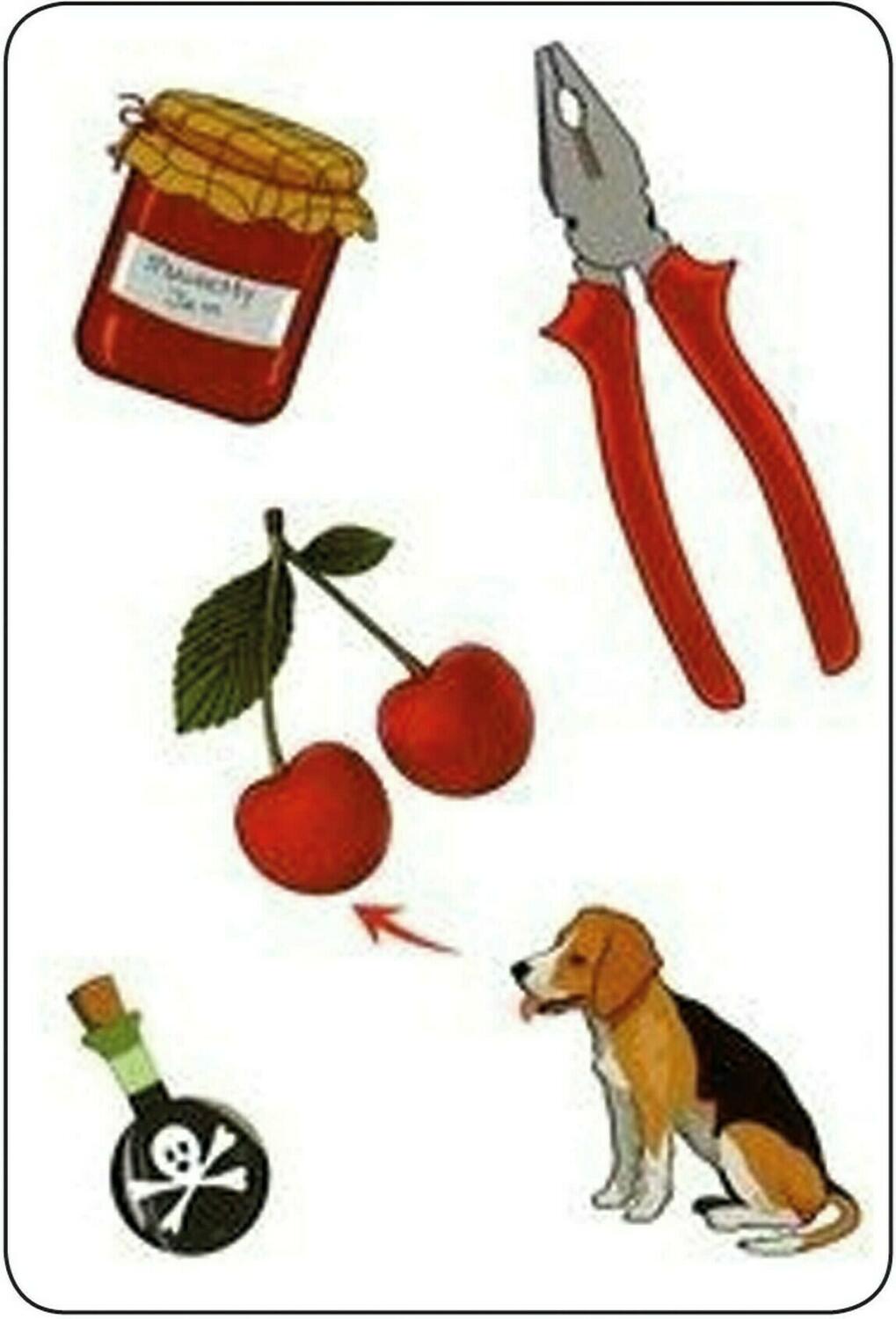 Tam Tam: Safari - CE1 - Niveau 1 Eclate