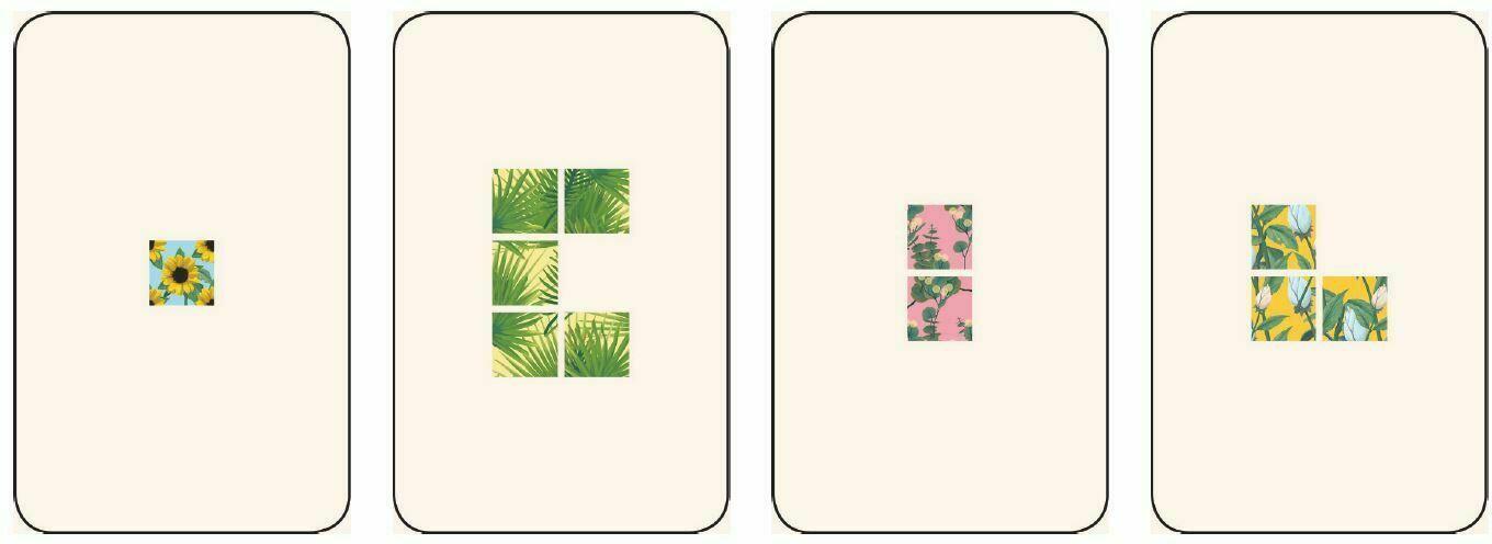 Second Chance Cartes