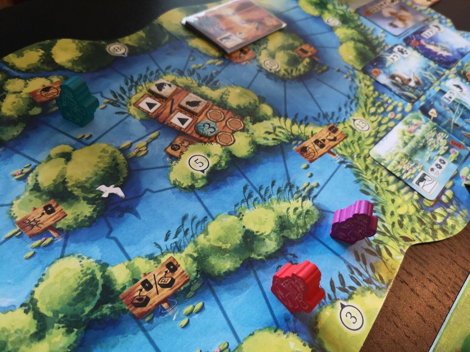 Meadow: Au Fil de l'Eau Zoom