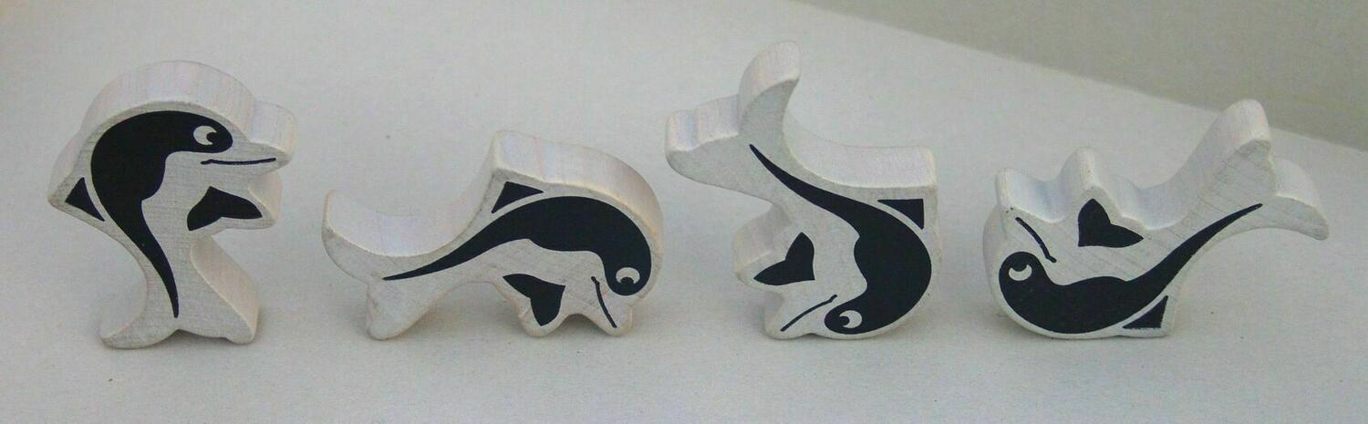 Schau hin, Delphin Zoom