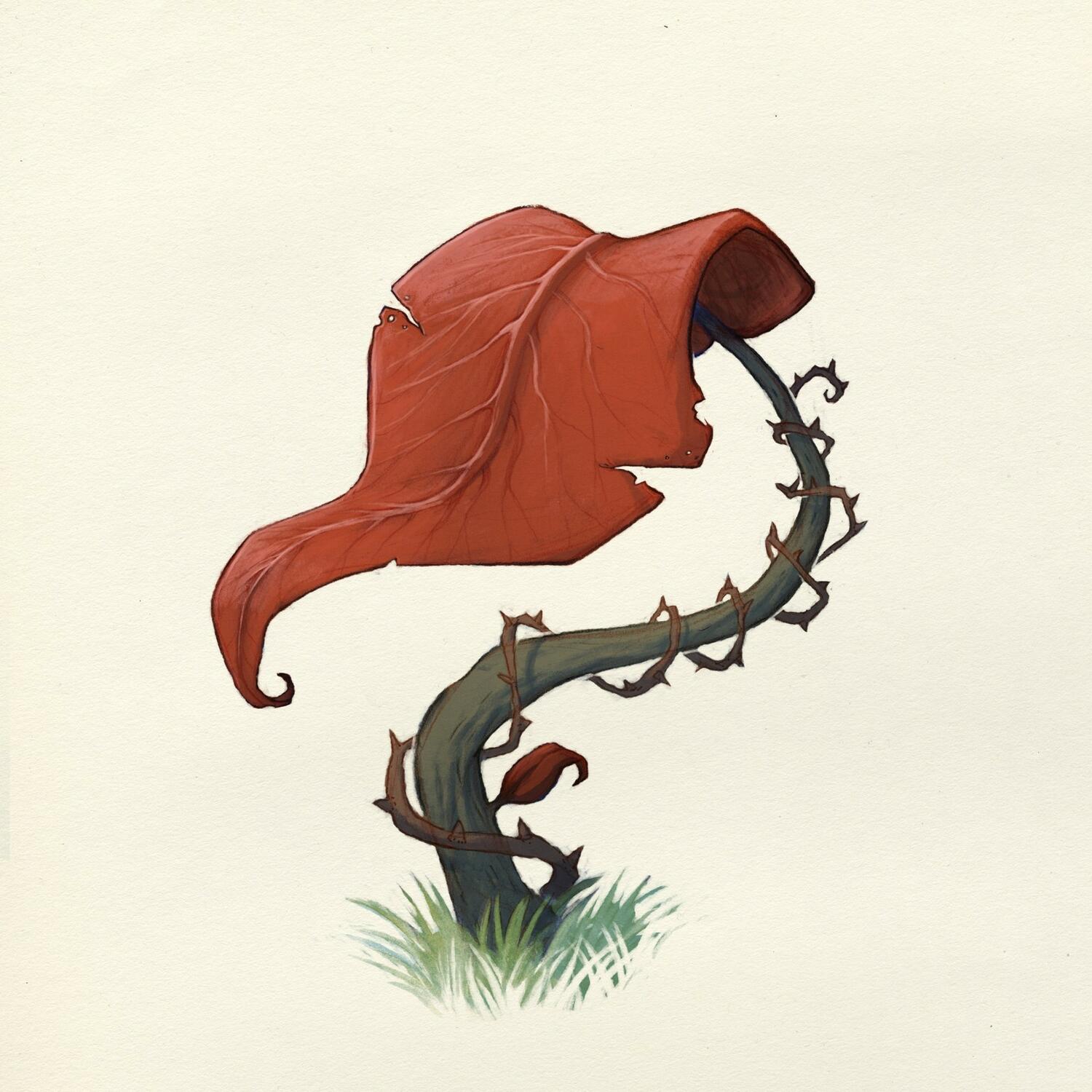 Le Bois des Couadsous Carte