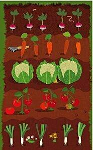 Tous au Potager Carte