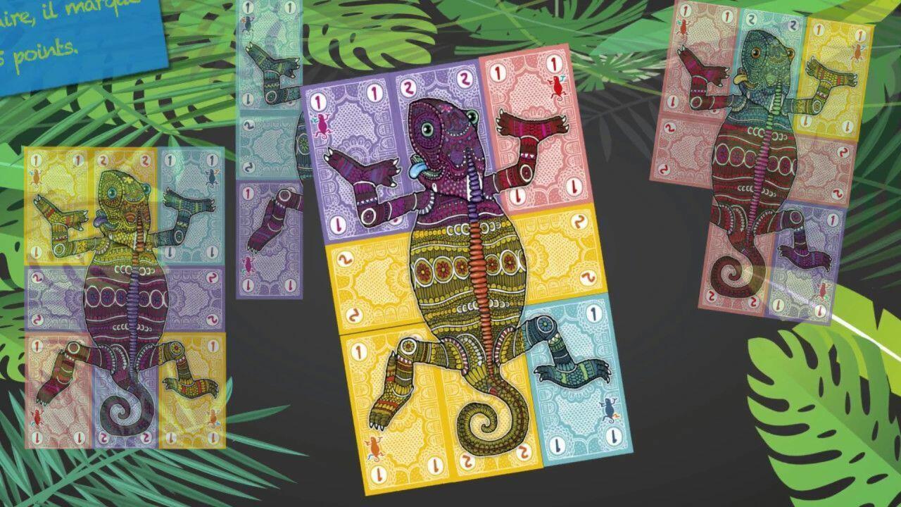 Sans Queue Ni Tête Plateux