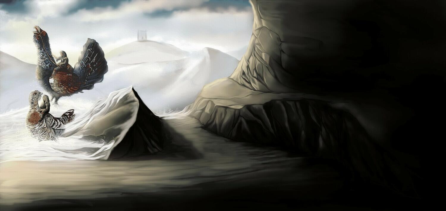 Clash of Galliformes Artwork