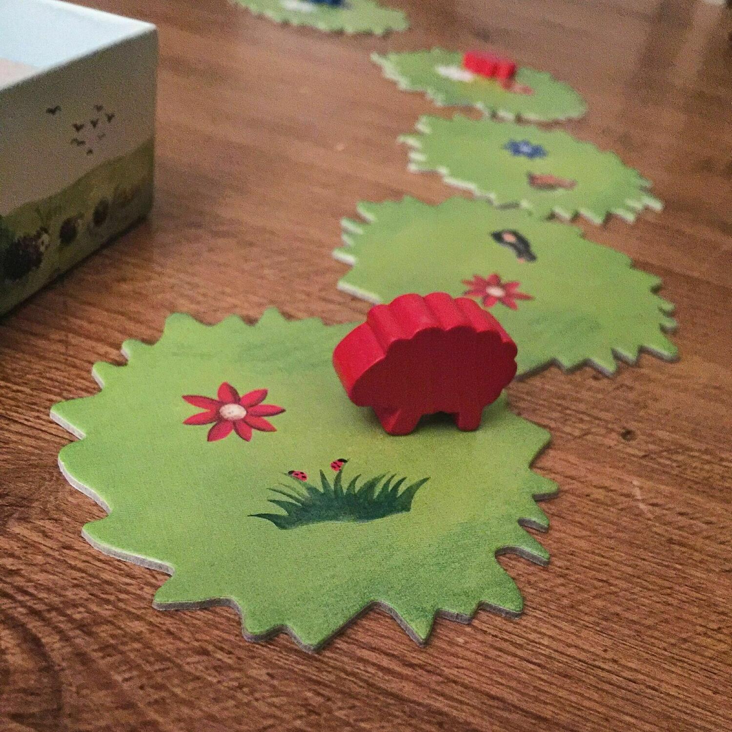 Alle meine Schäfchen Zoom