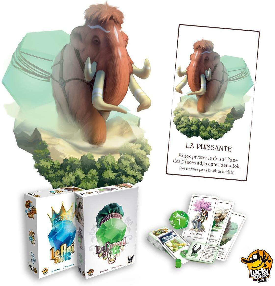 Le Conseil des 12 Eclate