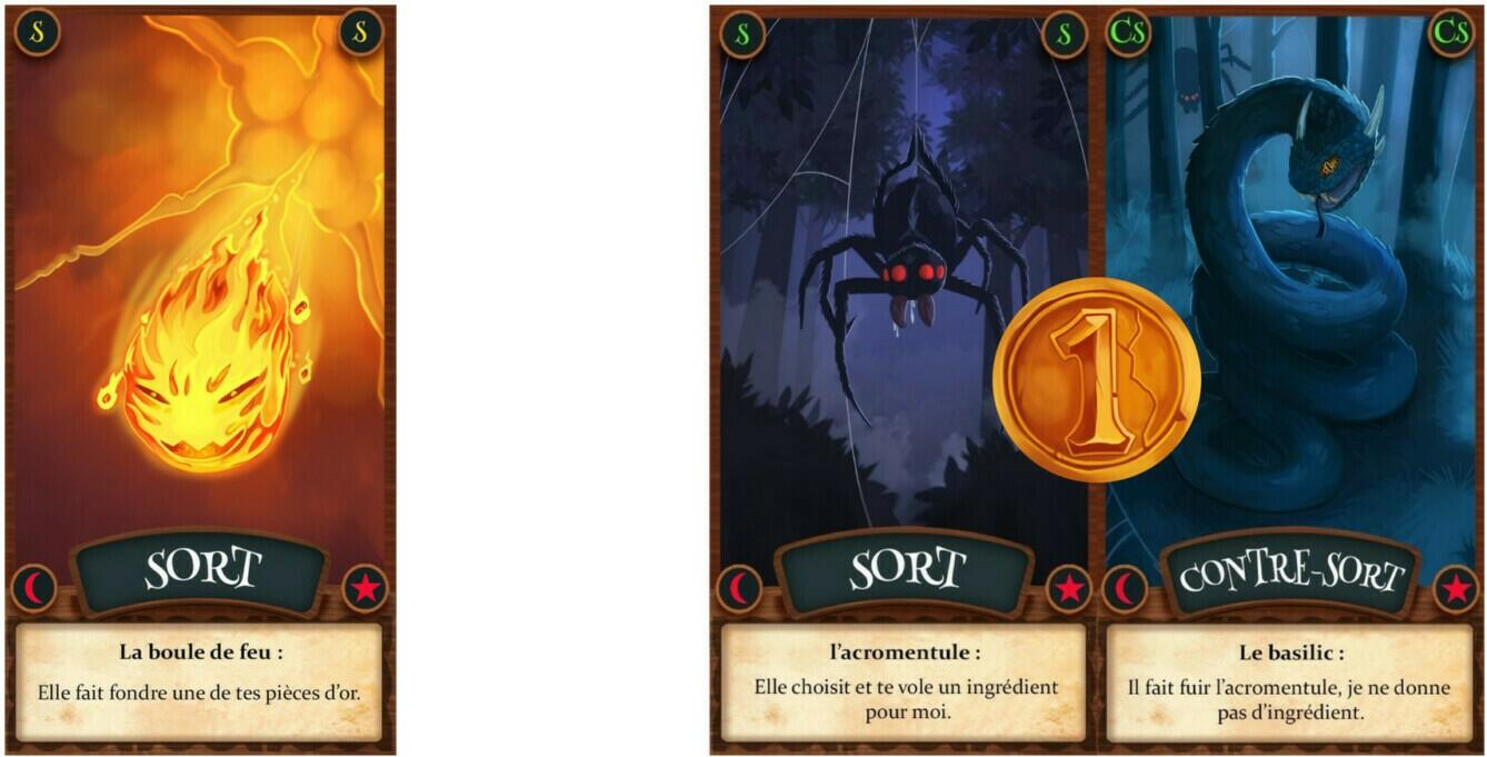 Potions & Sortilèges Cartes