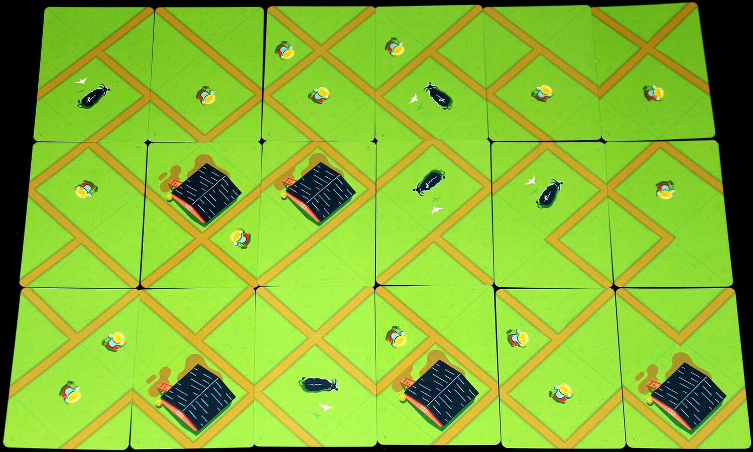 Rizières du Cambodge Eclate