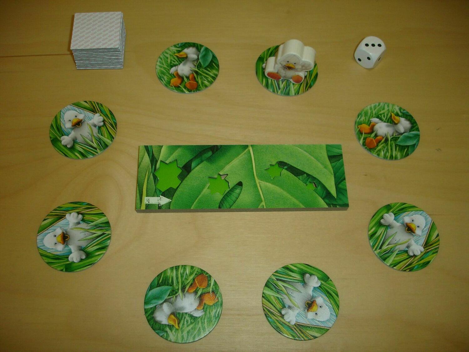 Charly im Zoo Eclate