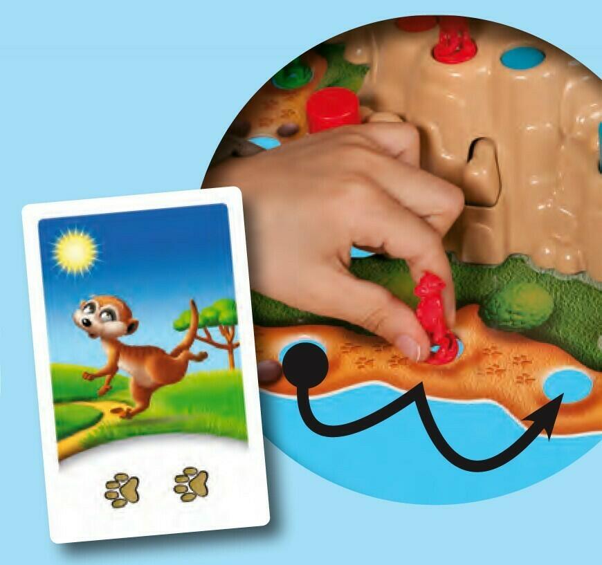 Suricat'Cache Eclate