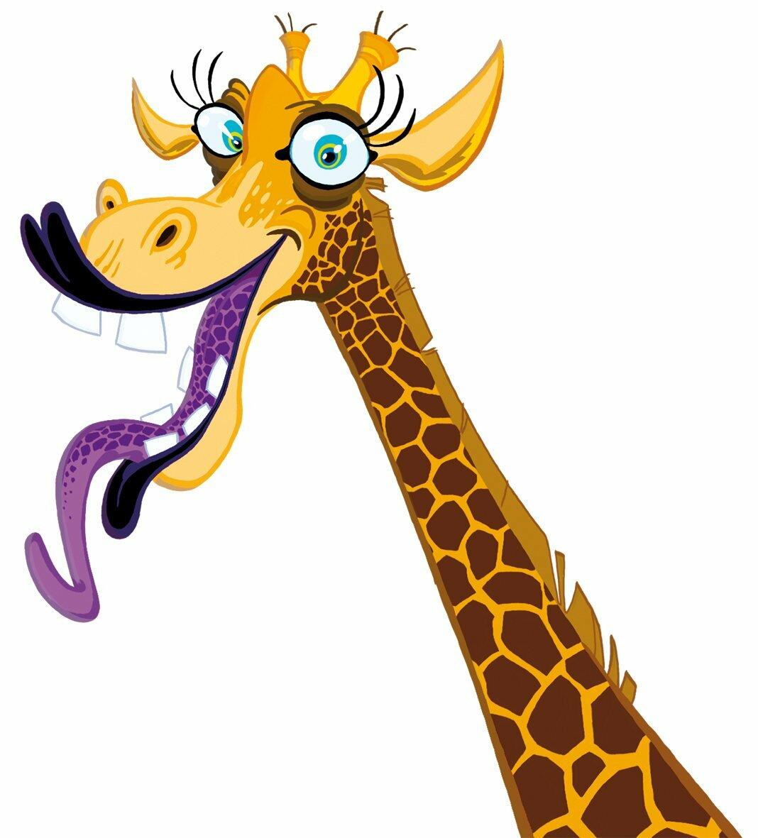 Jungle Speed Safari 2013 Artwrk