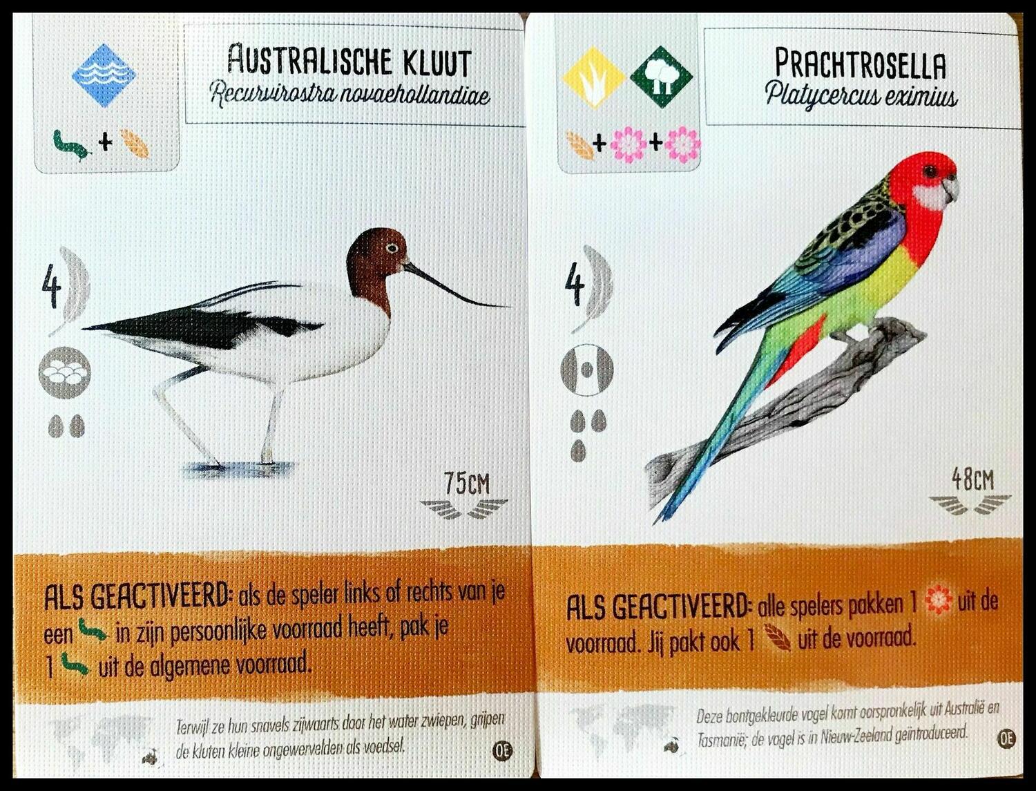 Wingspan: Extension Océanie Cartes