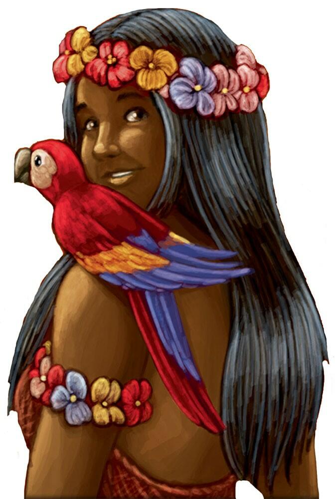 Carcassonne: Mers du Sud Artwork