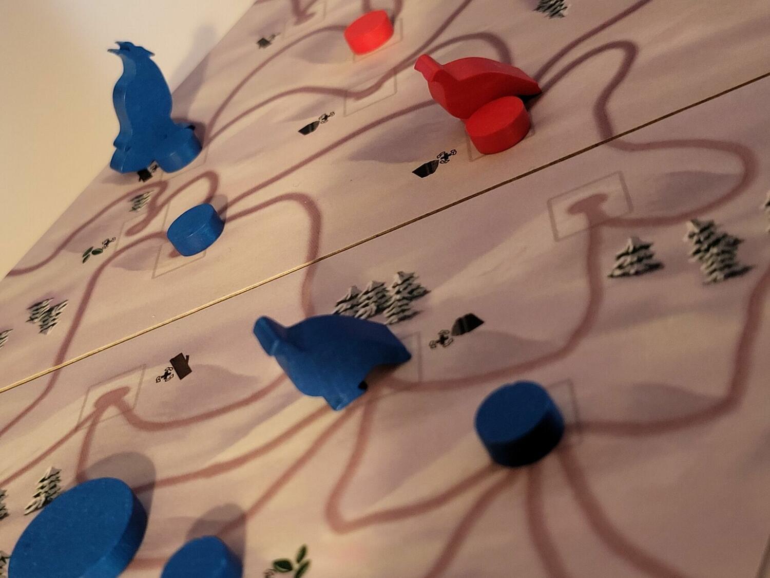 Clash of Galliformes Zoom