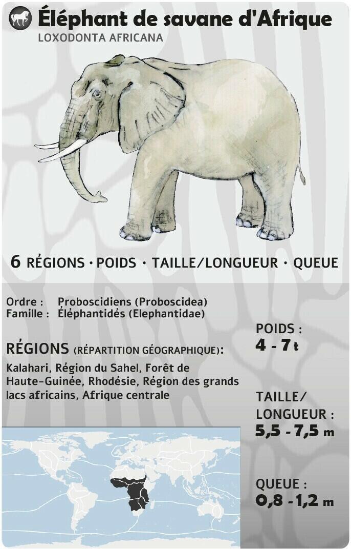 Fauna 2022 Carte
