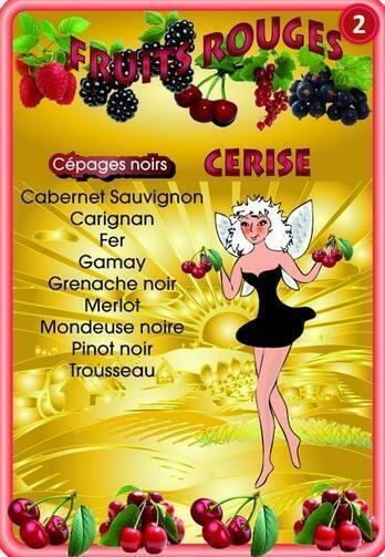 Le Portrait du Vin en Alsace Carte