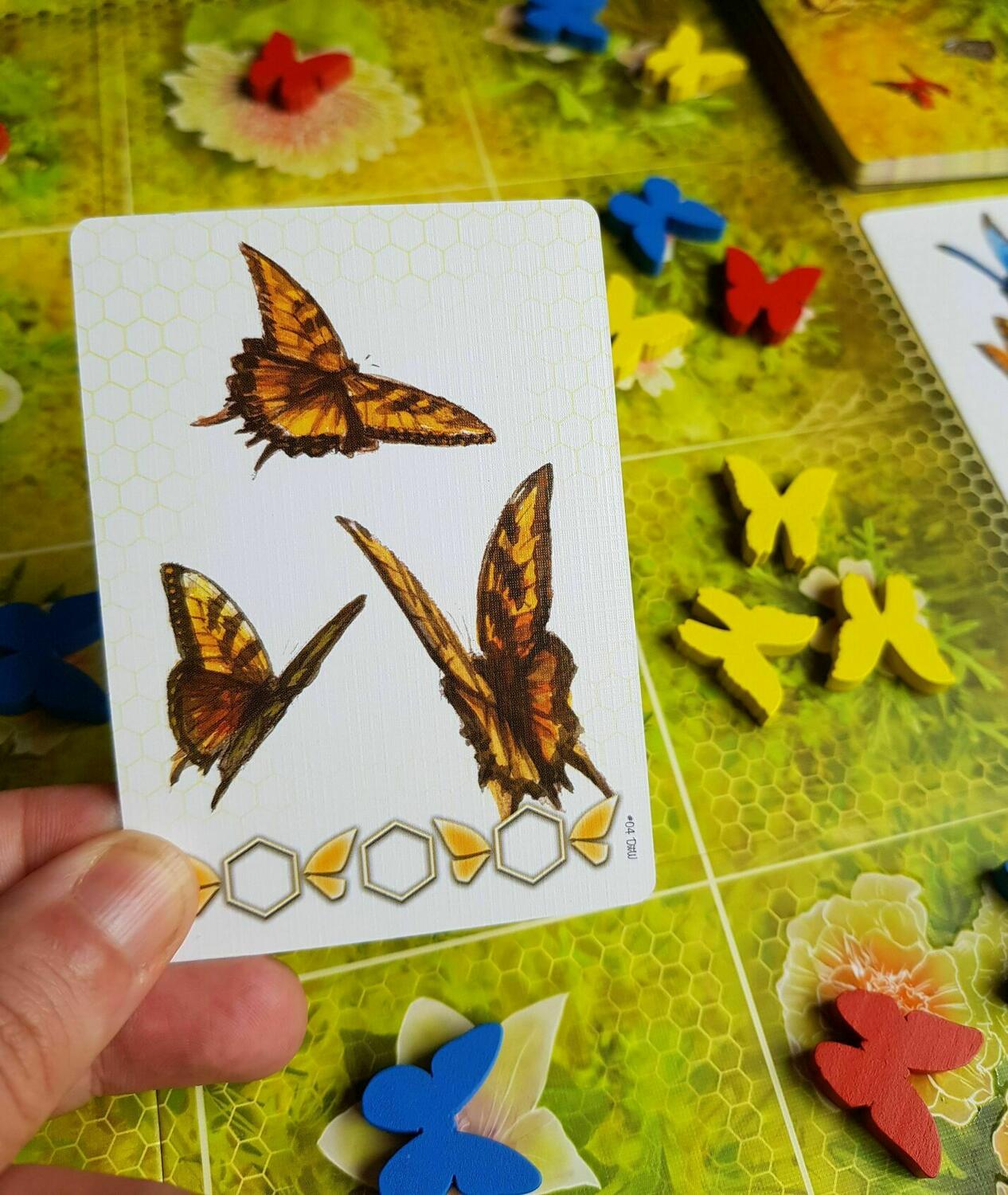 Dust in the Wings Zoom