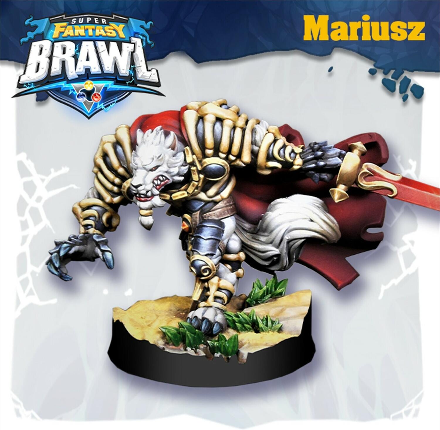 Super Fantasy Brawl: Circle of Blood Figurine