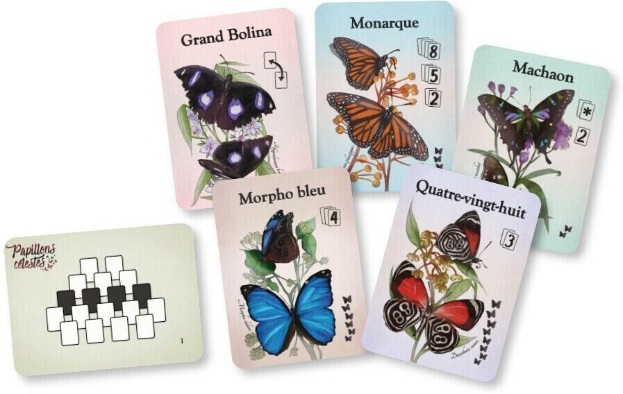 Papillons Célestes Eclate