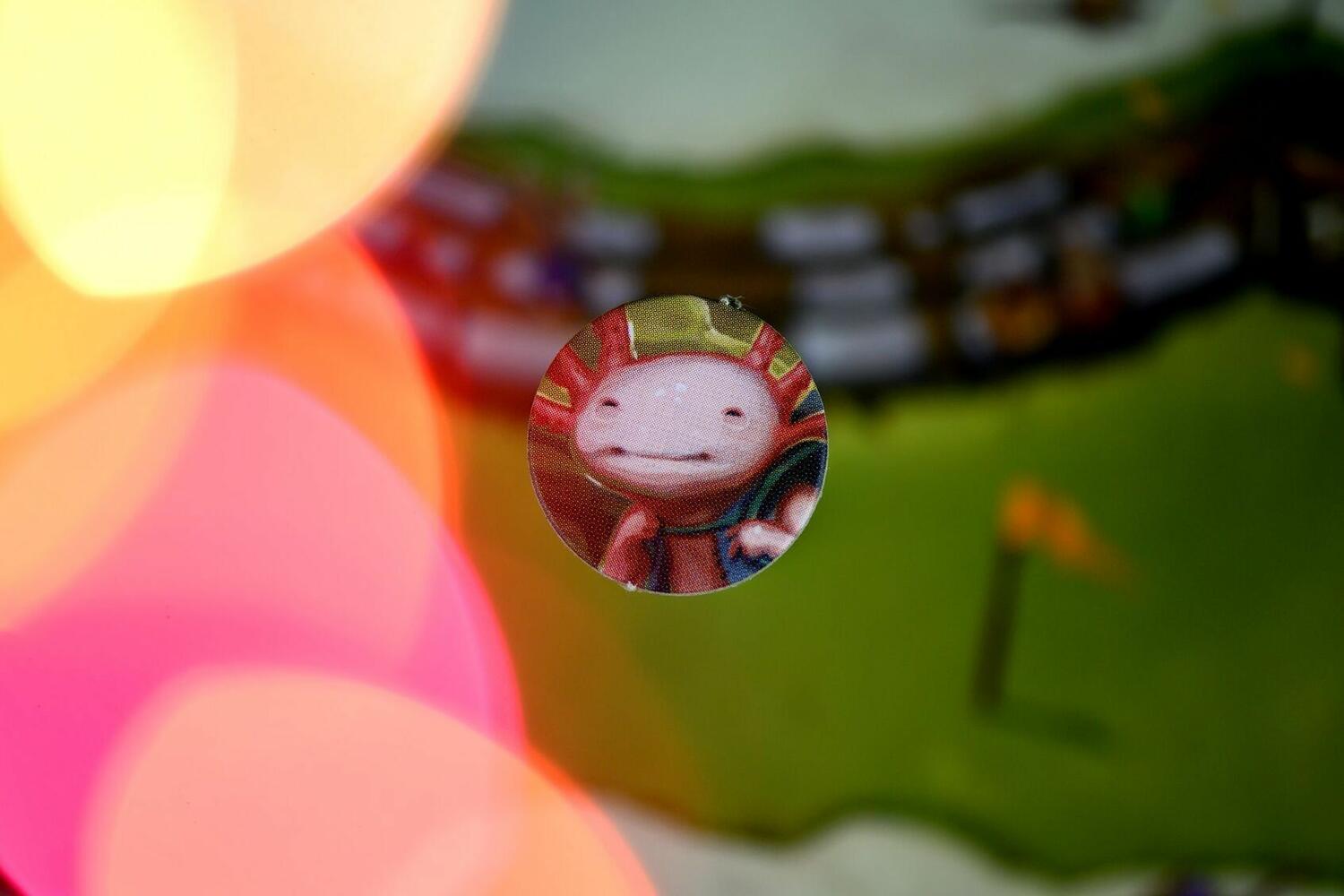 Everdell: Bellfaire Zoom