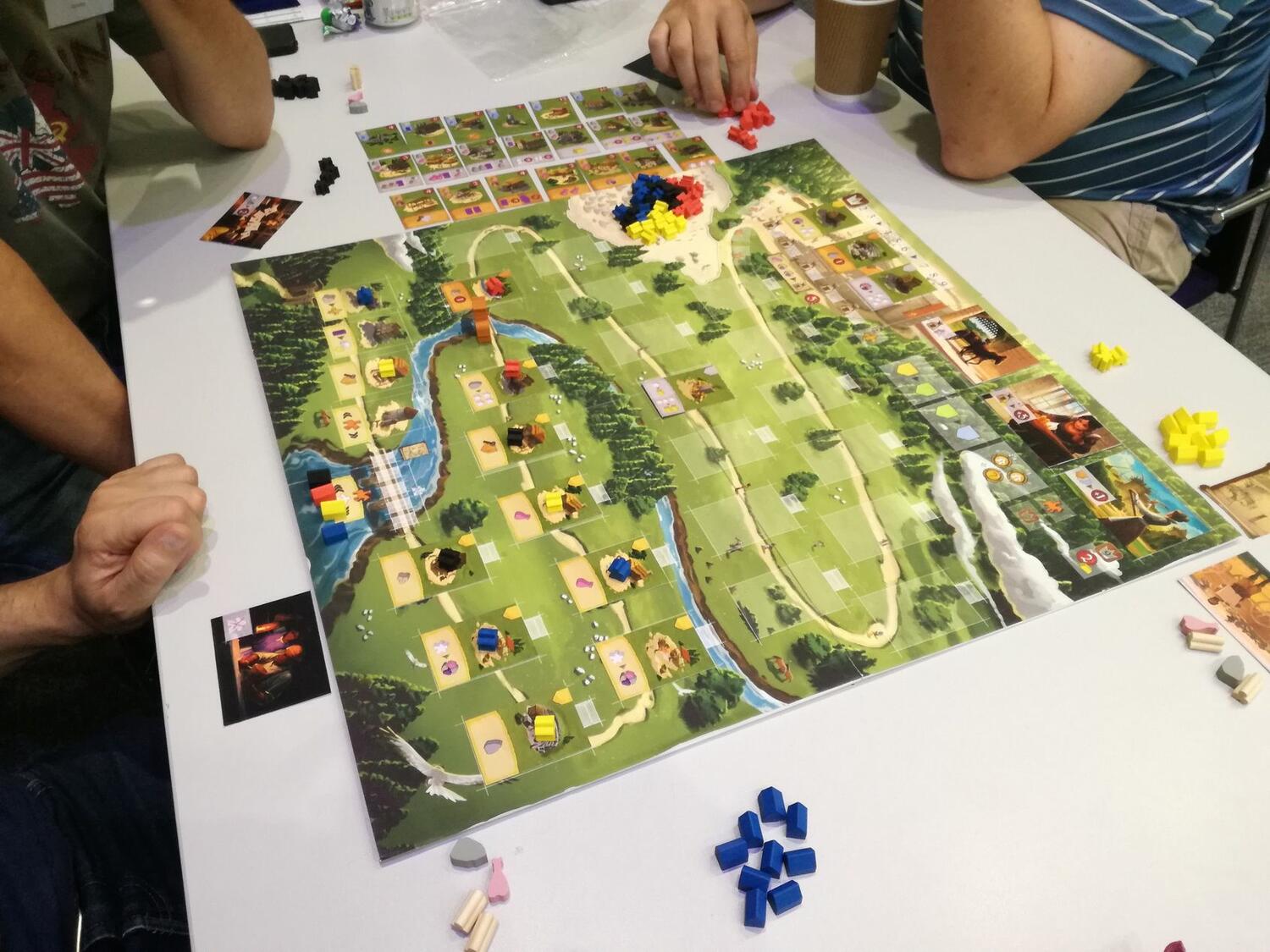 Caylus 1303 Proto