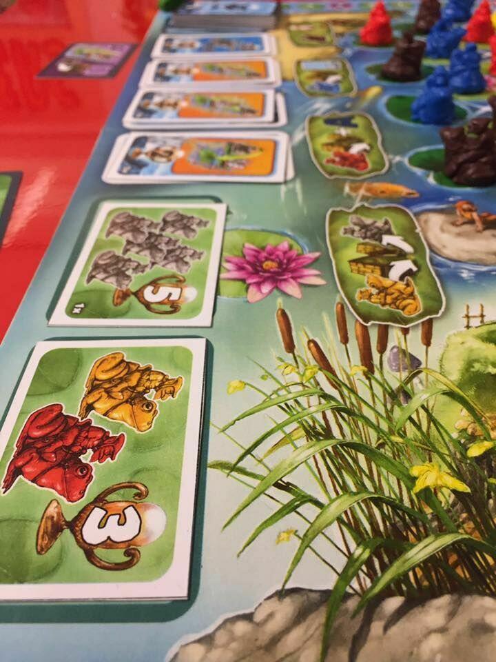 La Chevauchée des Grenouilles Zoom