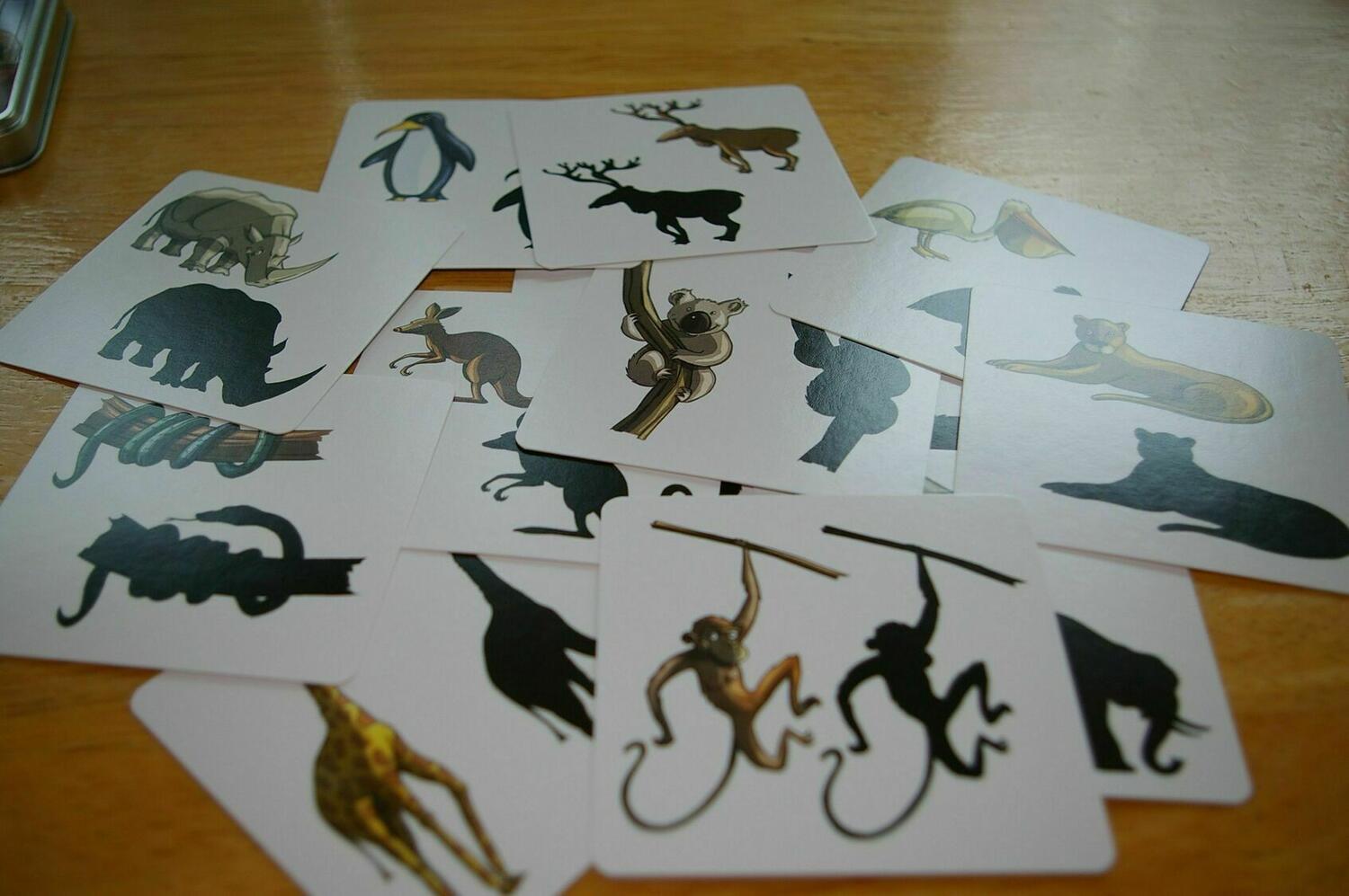 Panicozoo 2006 Cartes