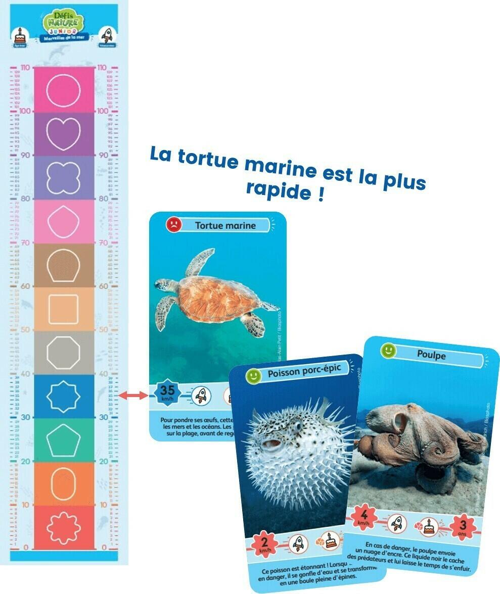 Défis Nature: Junior - Merveilles de la Mer Eclate