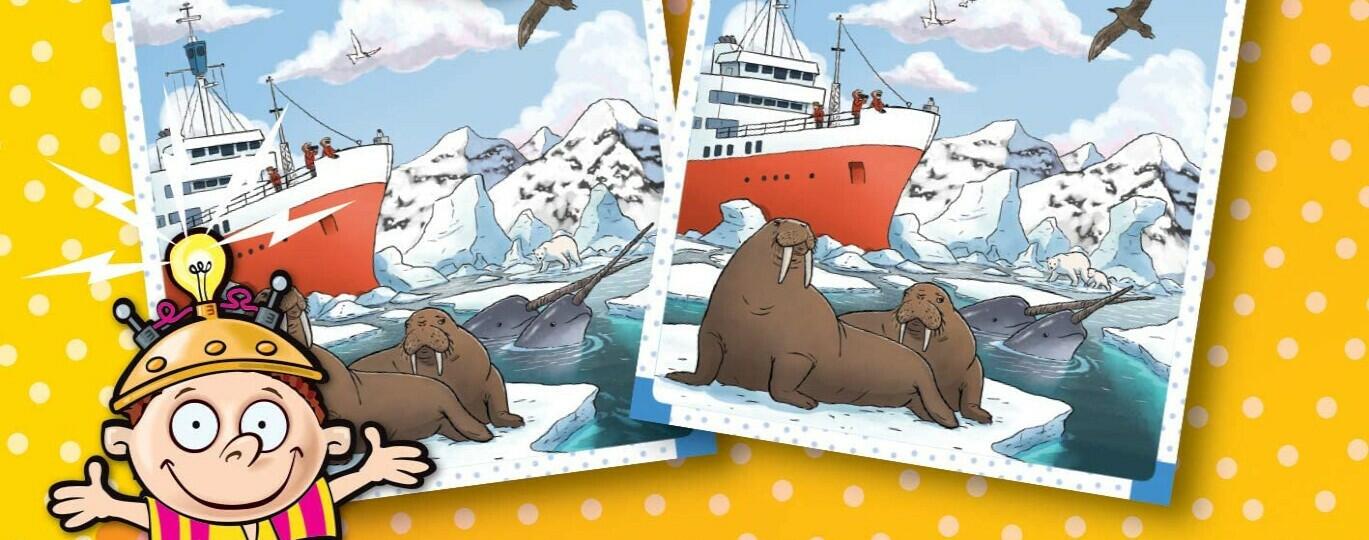 BrainBox: Trouve les Différences - Dans la Nature Top