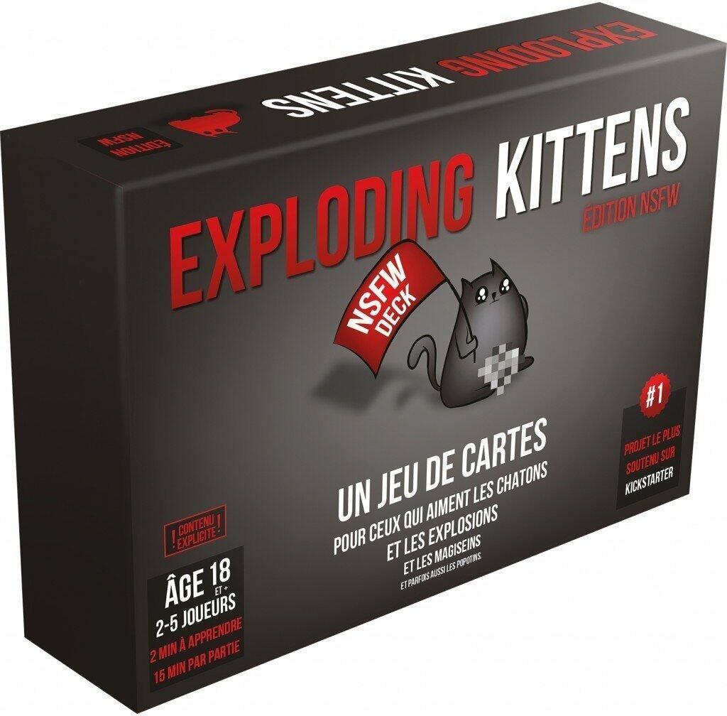 Exploding Kittens NSFW Cover 3d