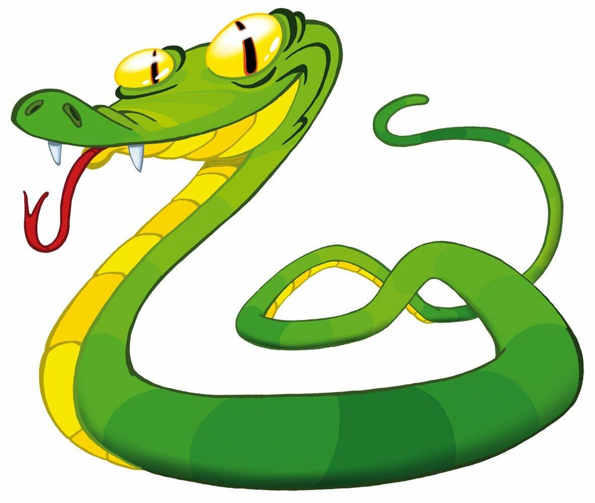 Jungle Speed Safari 2013 Artwork