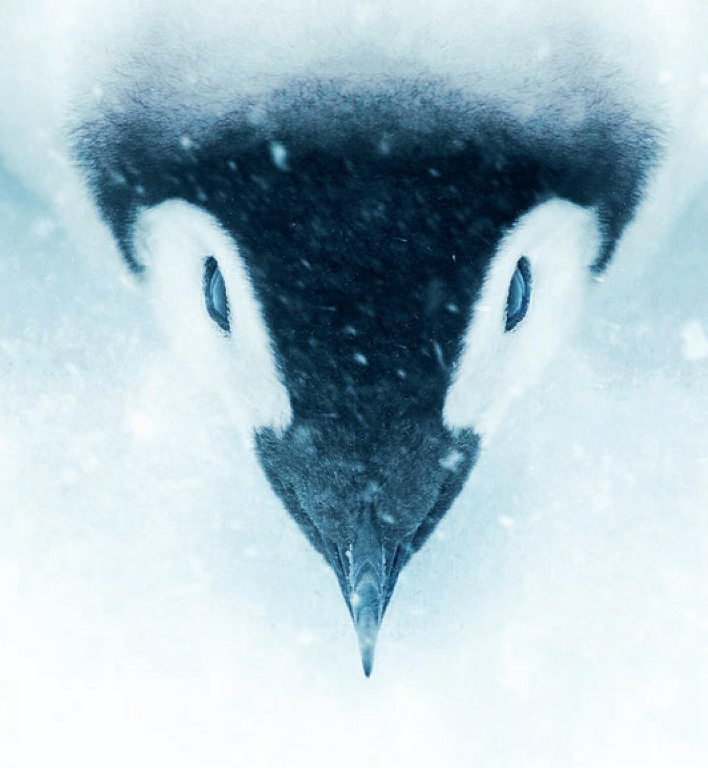 L'Empereur: Le Jeu Artwork