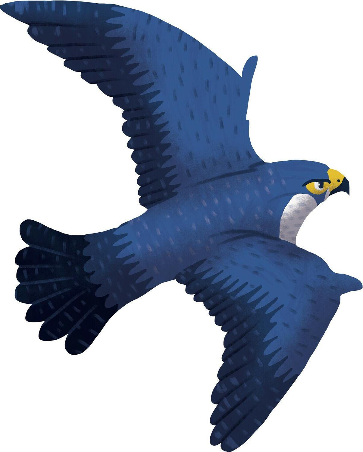 Ma Première Aventure: Sur la Piste du Dahu Personnage