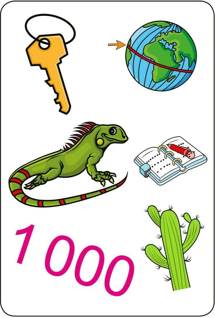 Tam Tam: Safari - Les Mots Irréguliers Carte