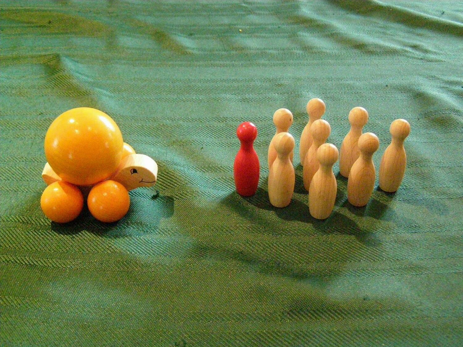 Schildi Strandkröte Zoom